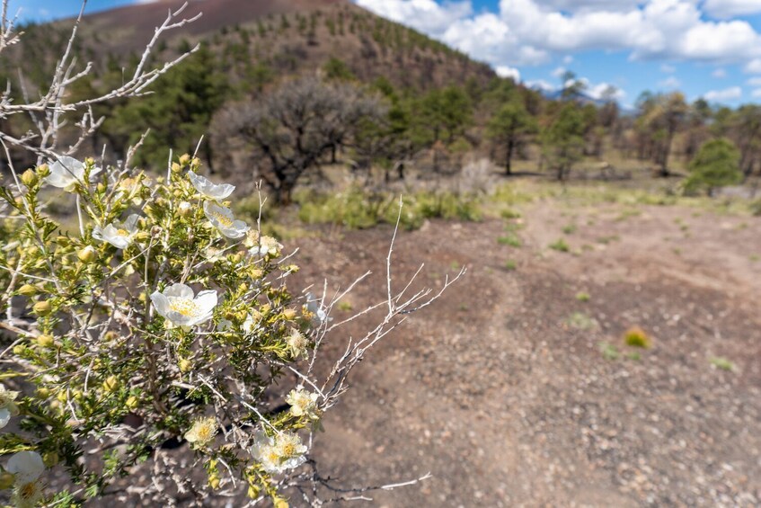 Salt lake City & La Sal Self-Guided Audio Tour Bundle