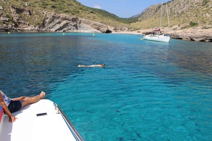 Alcudia: Crucero costero para grupos pequeños y snorkel