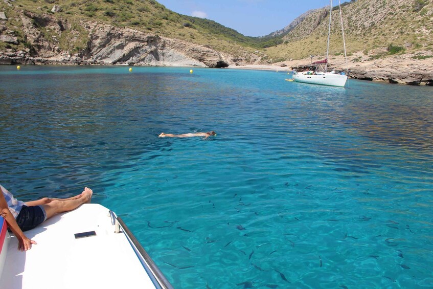 Picture 3 for Activity Alcudia: Small-Group Coastal Cruise and Snorkeling