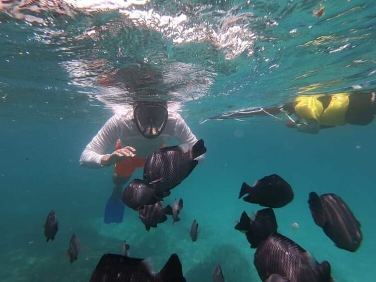 Blue Lagoon Beach Snorkeling Tour Bali