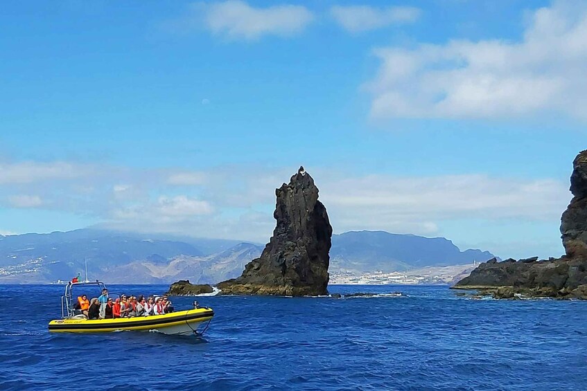 Picture 12 for Activity Quinta do Lord: Baia d'Abra Water Taxi