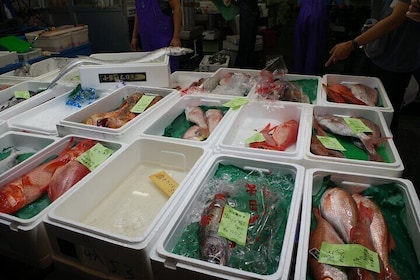 Learn Sushi-grade fish with a licensed guide @Yokohama fishmarket