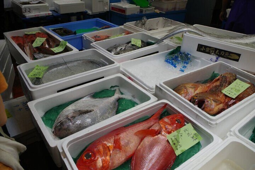 Variety of fish sold