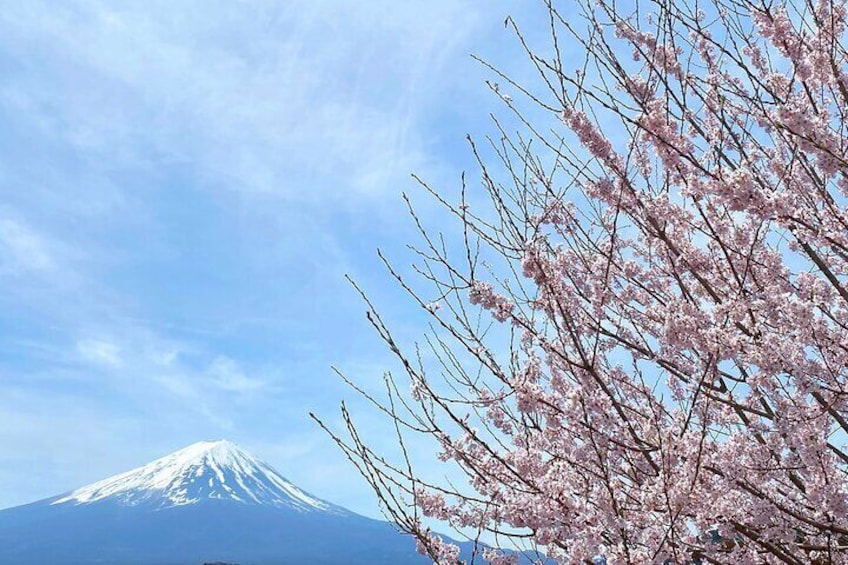 Full Day Private Tour to Mt Fuji by Luxury Vehicle