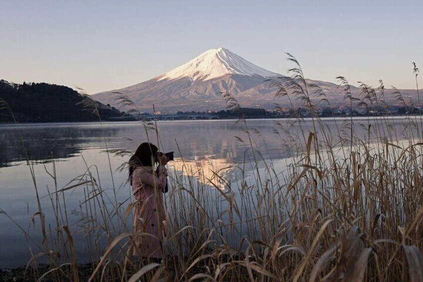 Full Day Private Tour to Mt Fuji by Luxury Vehicle