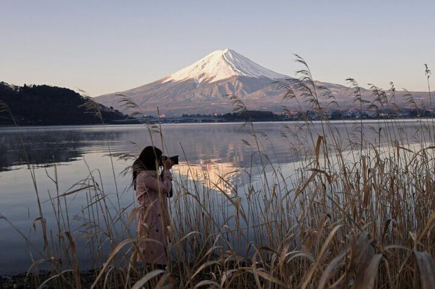 Full Day Private Tour to Mt Fuji by Luxury Vehicle