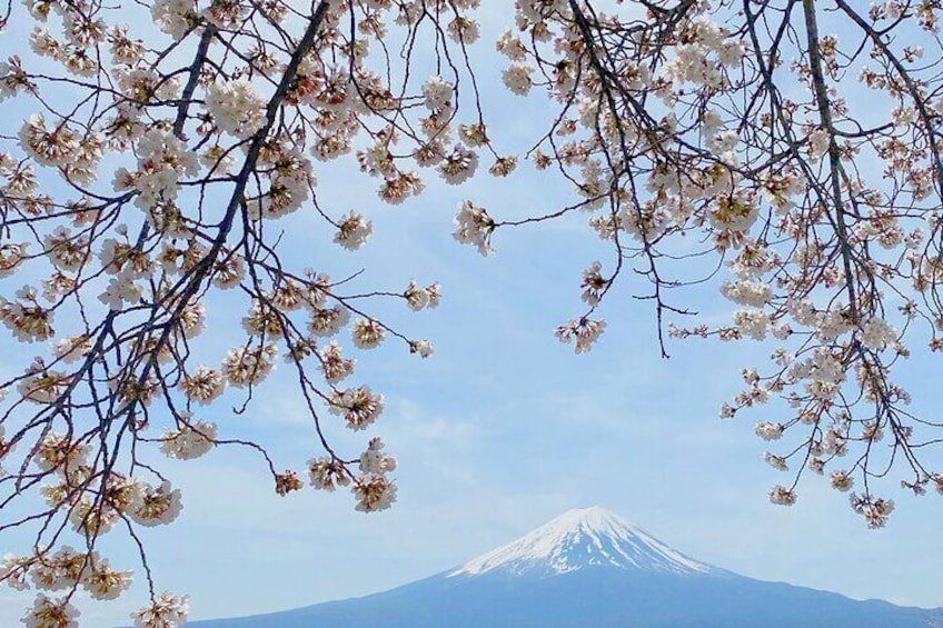 Full Day Private Tour to Mt Fuji by Luxury Vehicle