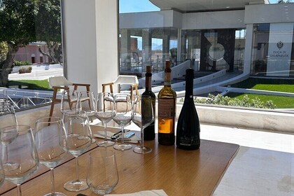 Experiencia de cata de vinos para grupos pequeños de Palermo