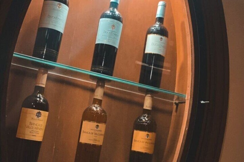 Small group wine tasting experience from Palermo