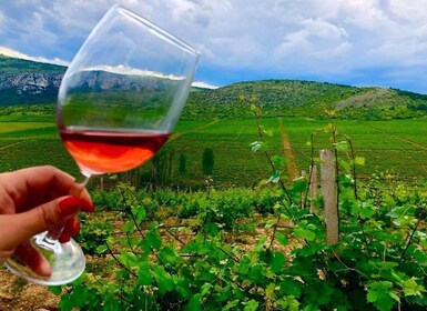 Depuis Skopje : Visite privée excursion de l'établissement vinicole de Sopo...