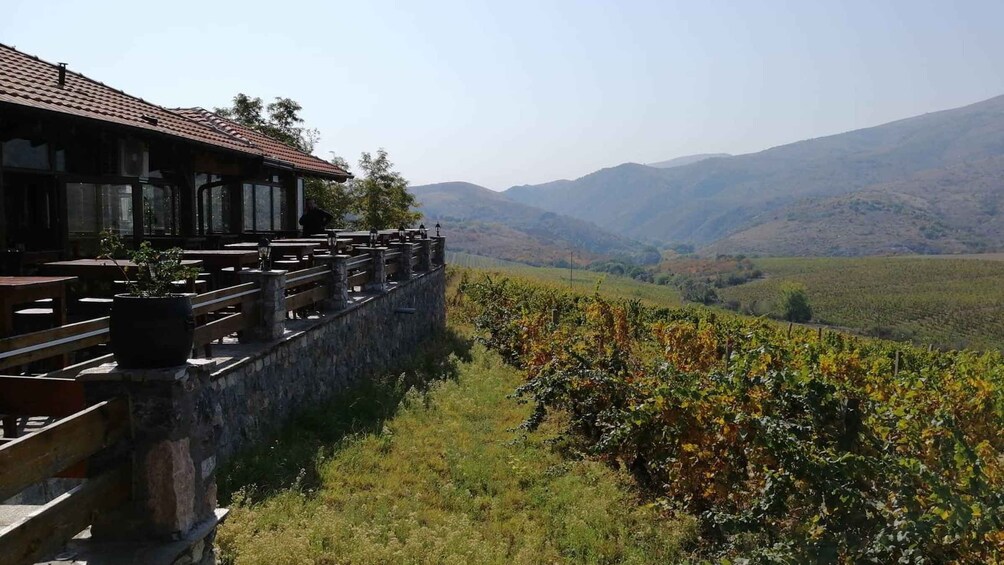 Picture 4 for Activity From Skopje: Private Tour of Sopot Winery with Lunch