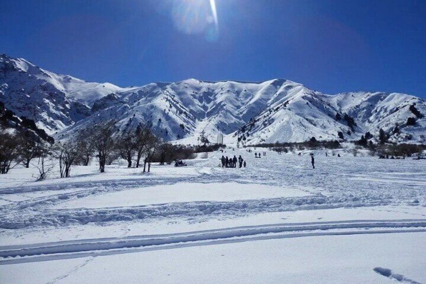 Tashkent Mountain Tour Amirsoy with Transport