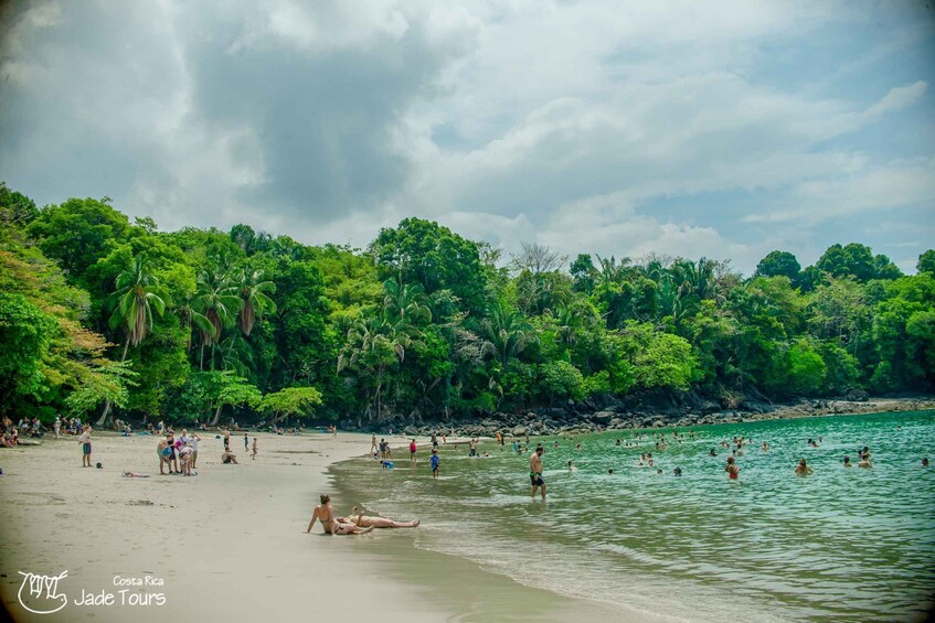 Picture 5 for Activity Manuel Antonio: Manuel Antonio National Park Tour