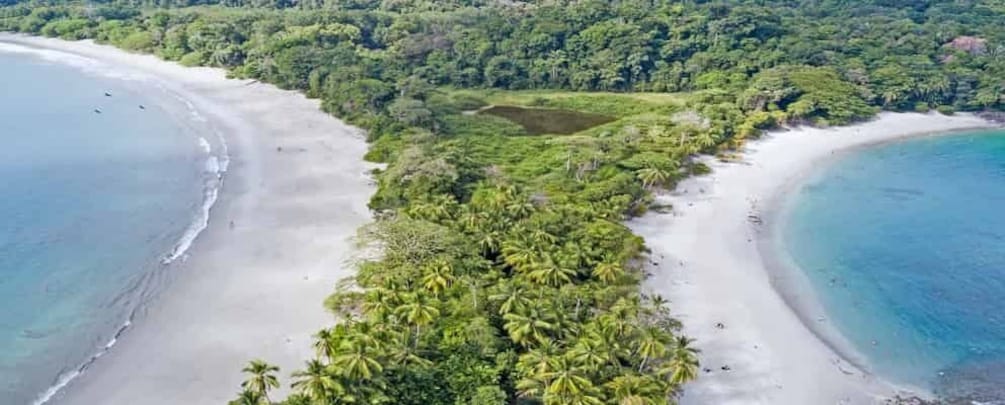 Picture 1 for Activity Manuel Antonio: Manuel Antonio National Park Tour