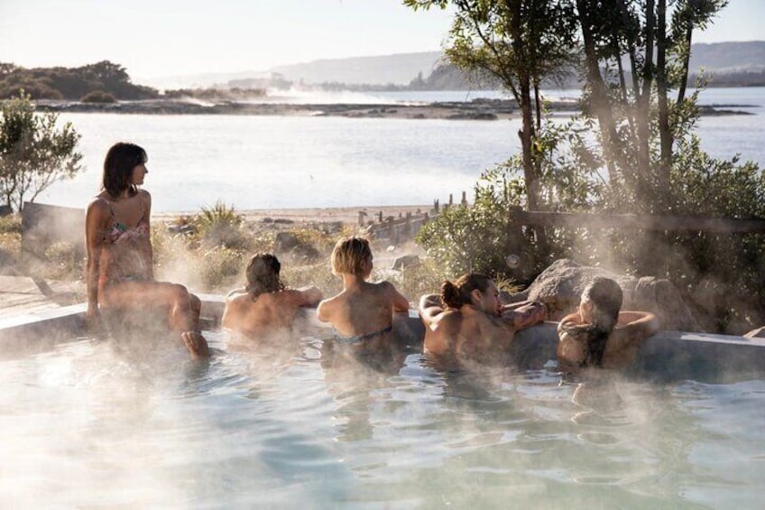 From Auckland: Rotorua Māori Village and Polynesian Spa Tour