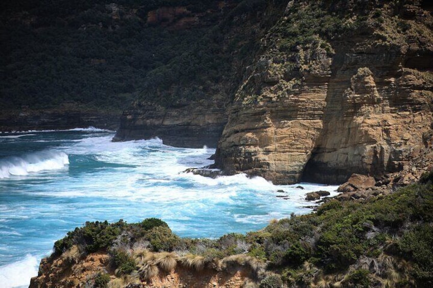 Tasman Peninsula Small-Group Eco Tour from Hobart