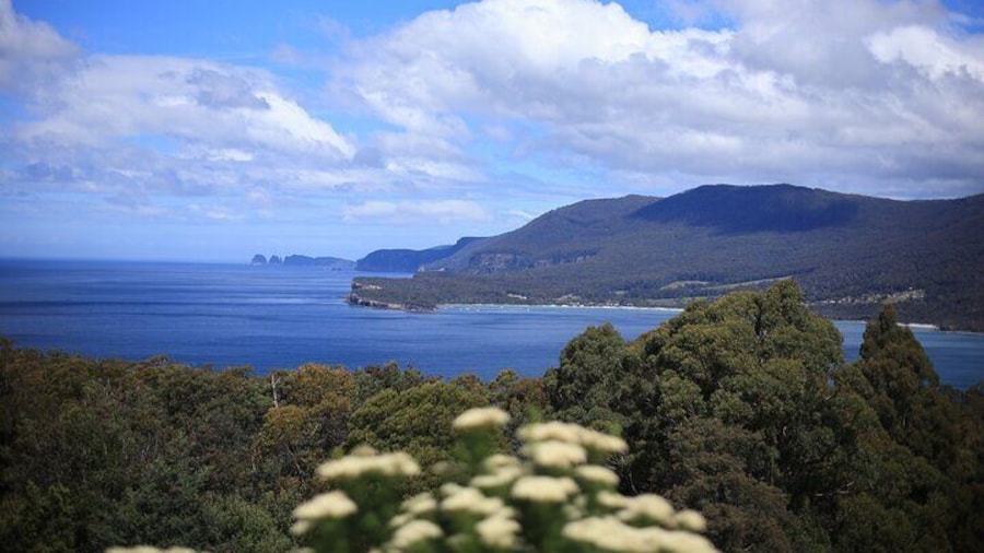 Tasman Peninsula Escapes Day Tour