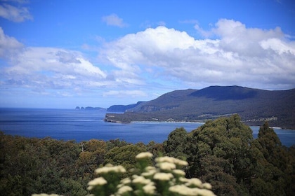 Tasmania｜Tasman Peninsula Full-Day Escapes from Hobart