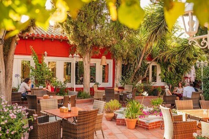 Dîner sur une terrasse de l'Albayzin et spectacle de flamenco en direct