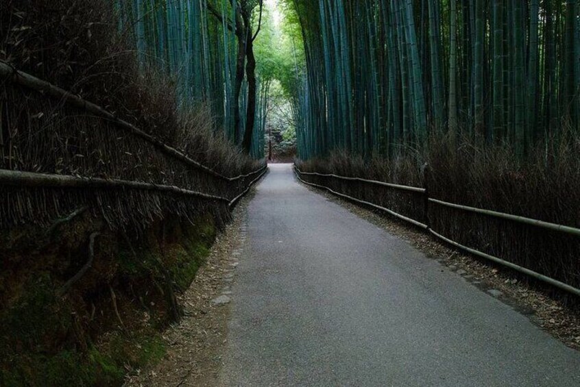 Kyoto Arashiyama Bamboo Forest & Golden Pavilion Bike Tour