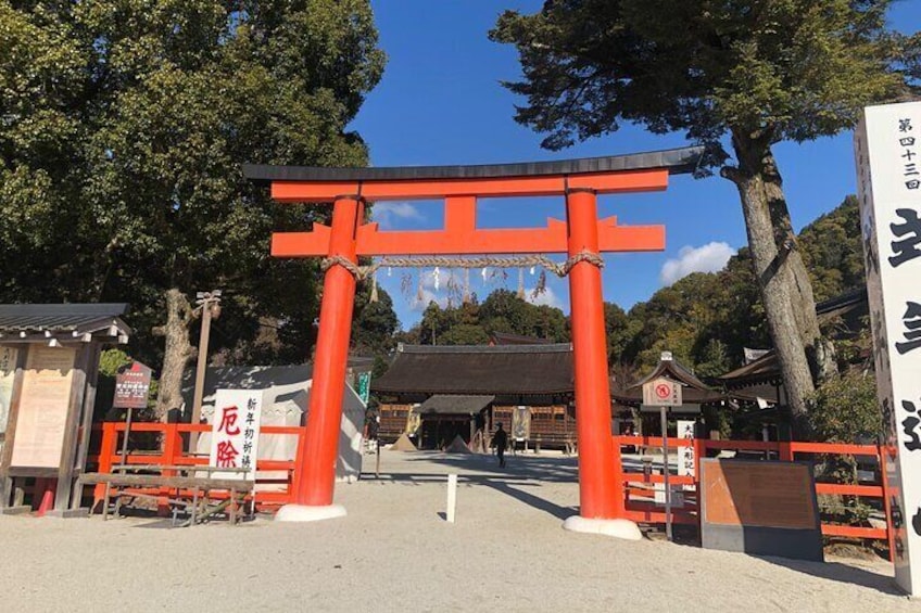 Kyoto Arashiyama Bamboo Forest & Golden pavilion Temple Bike Tour