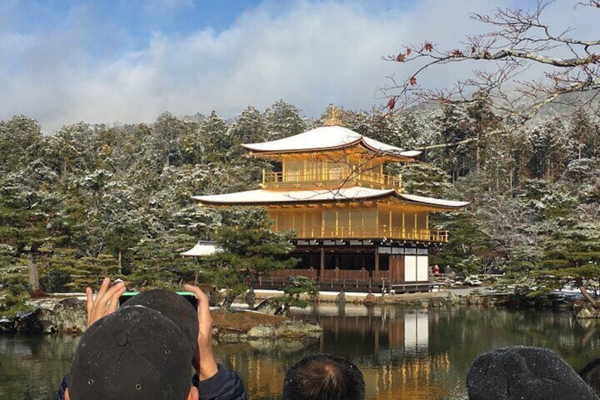 Kyoto Arashiyama Bamboo Forest & Golden pavilion Temple Bike Tour