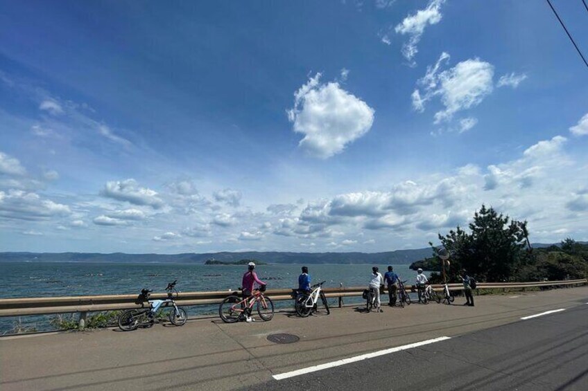 One Day E Bike Round Tour in Sakurajima