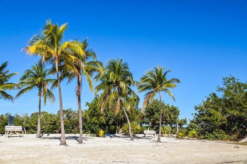 Far Beach at John Pennekamp Coral Reef State Park