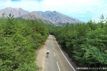 Historical Hill Climb E-bike Tour to Sakurajima's Peak