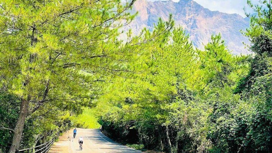 Historical Hill Climb E-bike Tour to Sakurajima's Peak
