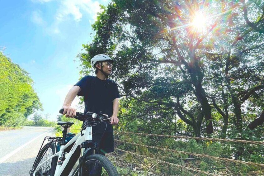 Historical Hill Climb E-bike Tour to Sakurajima's Peak