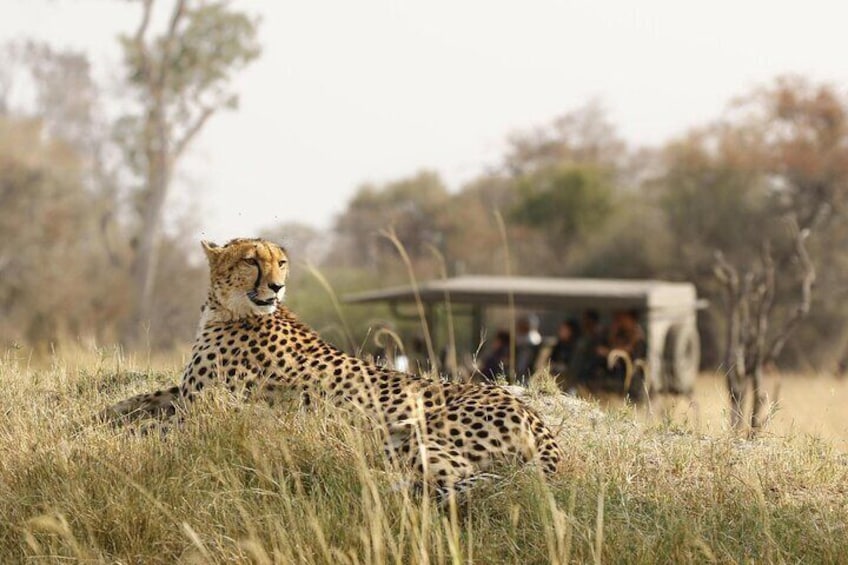 3 Hour Blue Canyon Private Reserve Game Drive