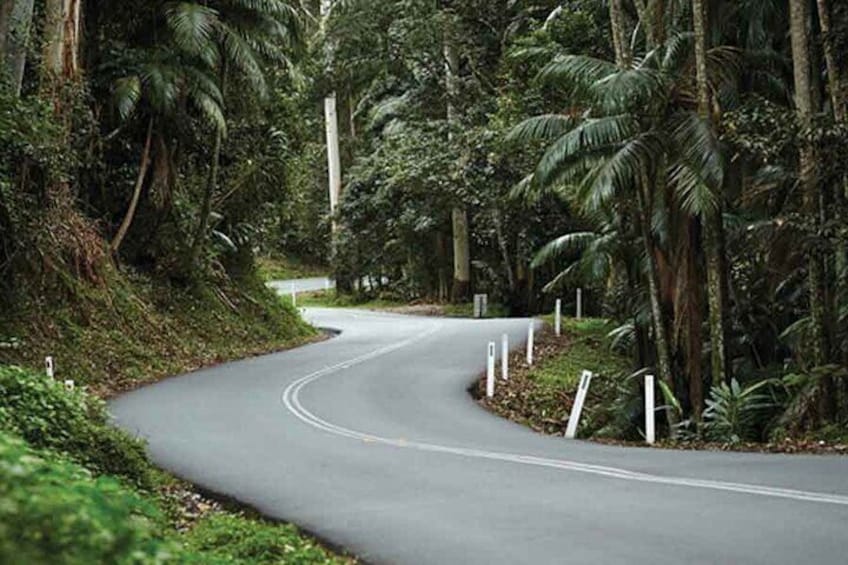 Mount Tamborine Winery Tour with Lunch from Brisbane