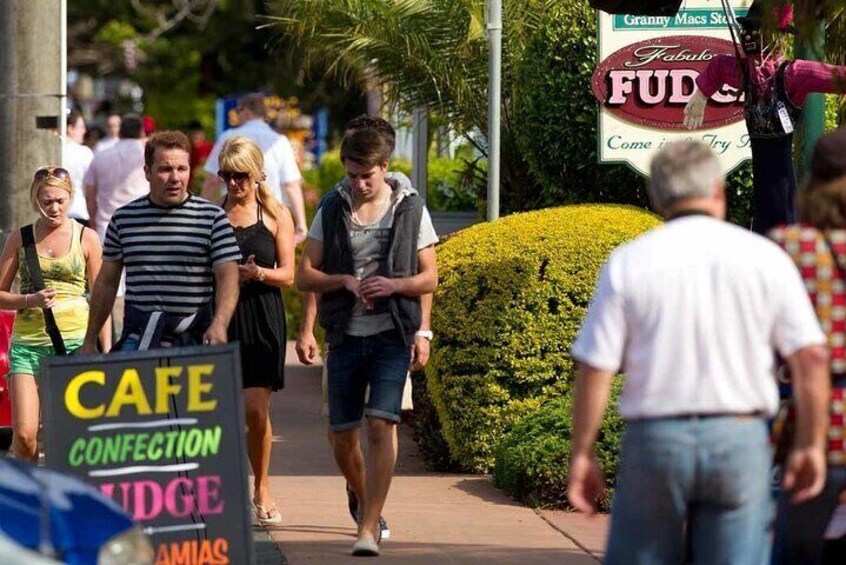 Mount Tamborine Hop on Hop off Bus from Brisbane