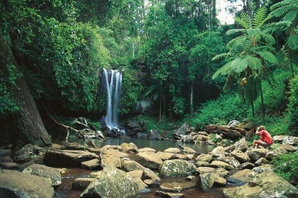 Mount Tamborine Hop on Hop off Bus from Brisbane