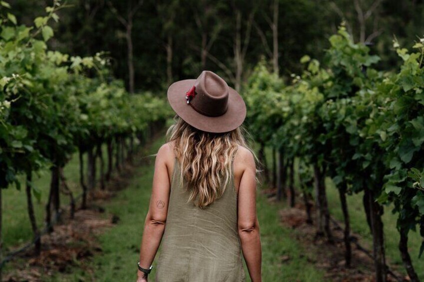 Mount Tamborine Hop on Hop off Bus from Brisbane