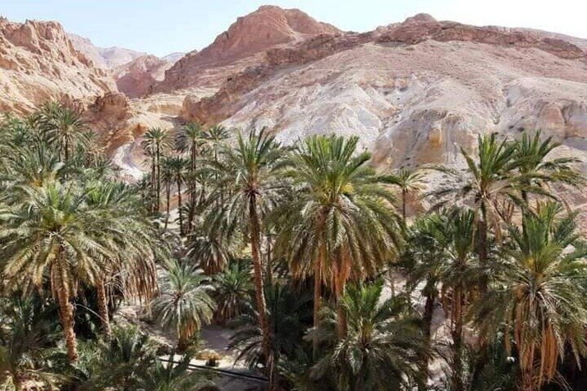 7-Day Guided Tour of Tunisia with accommodation and food included