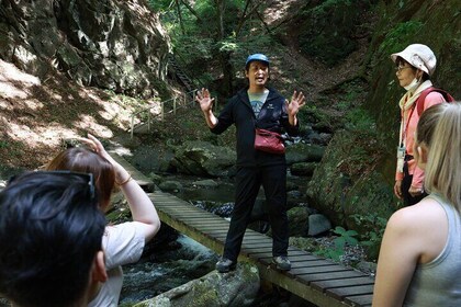 Full Day Kofu Adventure Tour