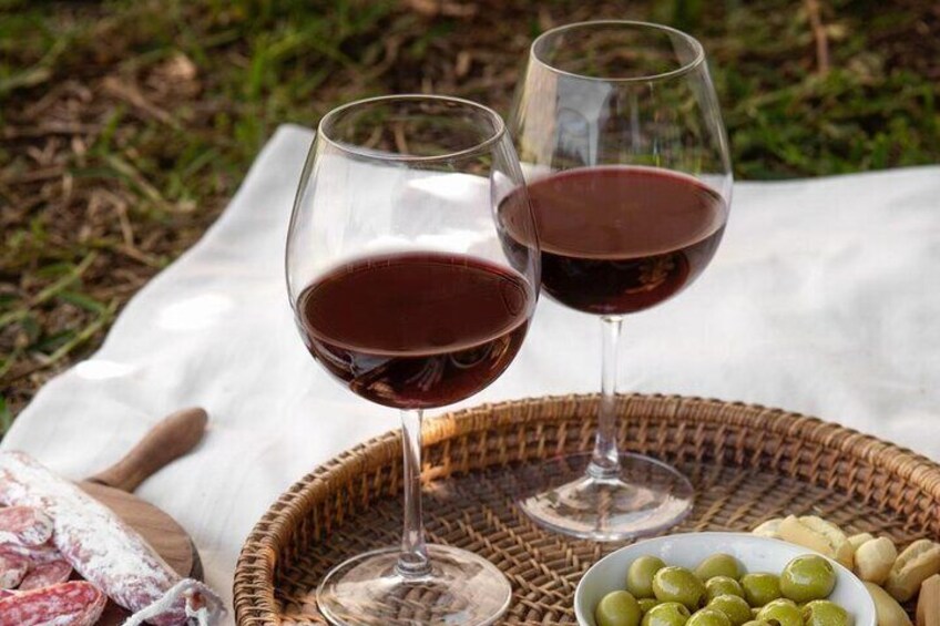 Full Day Tour in Chianti with Transportation Included