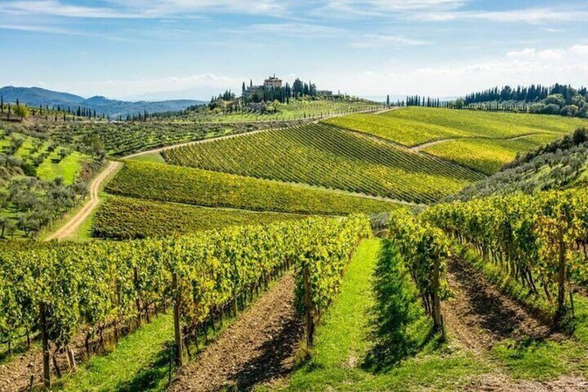Full Day Tour in Chianti with Transportation Included