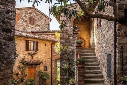 Full Day Tour in Chianti with Transport Included