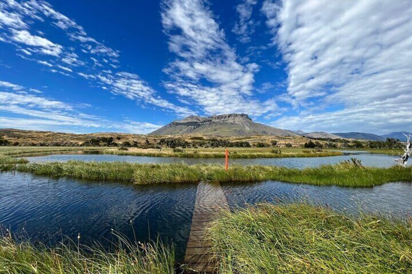 Private Bird Watching Experience in Cerro Castillo