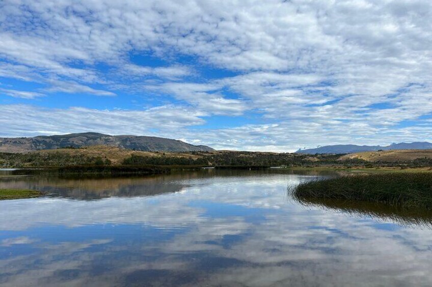 Private Bird Watching Experience in Cerro Castillo