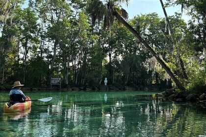 3 Hour Guided Single Kayak Adventure