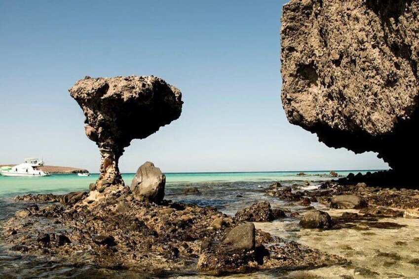 Private Tour to Balandra Beach Todos Santos From Los Barriles