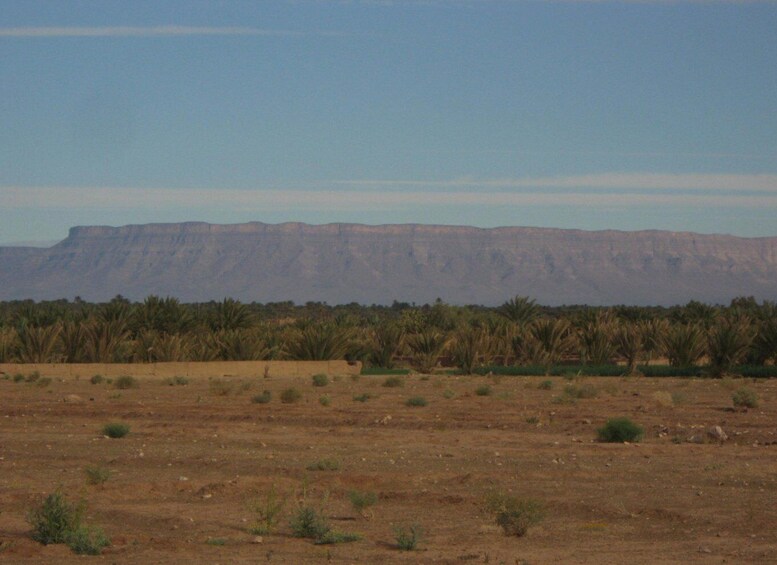 Picture 4 for Activity Zagora Sahara Desert Overnight Trip from Ouarzazate