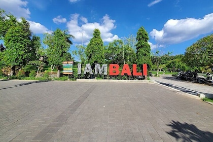 Half Day Bali Denpasar City All-inclusive Tour