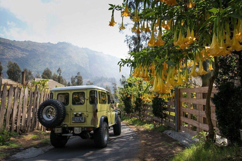 Picture 2 for Activity Bali: Mount Bromo and Kawah Ijen 3-Day Volcanic Trip