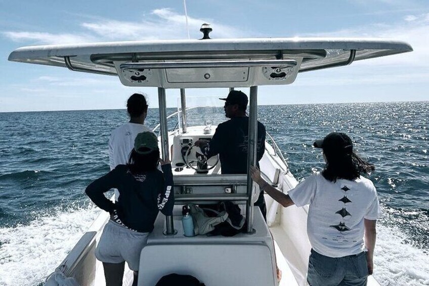 Ocean Safari in San Jose del Cabo