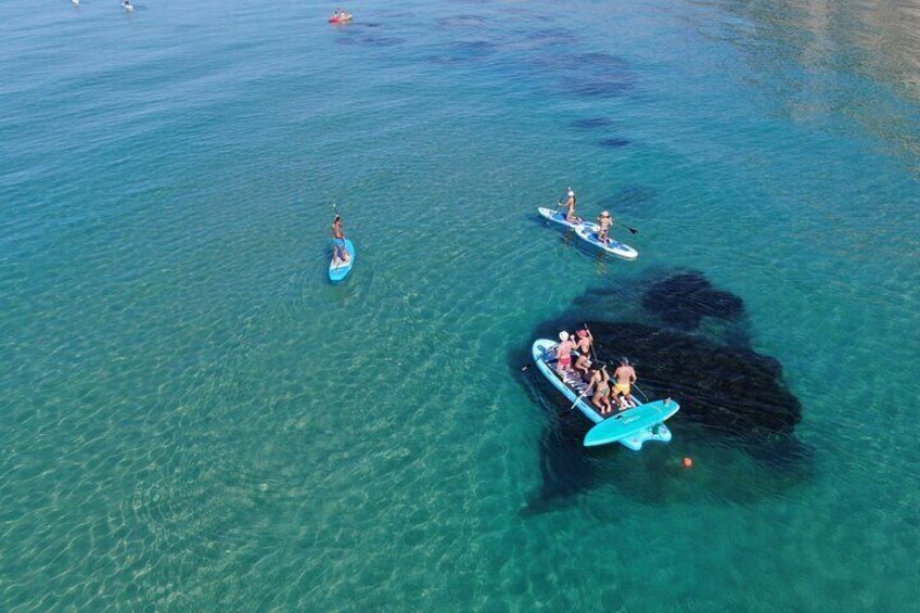Big SUP / Paddle Board for Groups in Torre Salsa Nature Reserve
